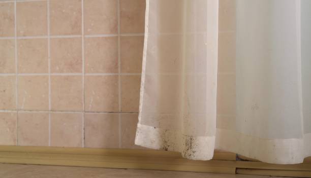 Best Mold-Related Health Consultation  in Taos, NM
