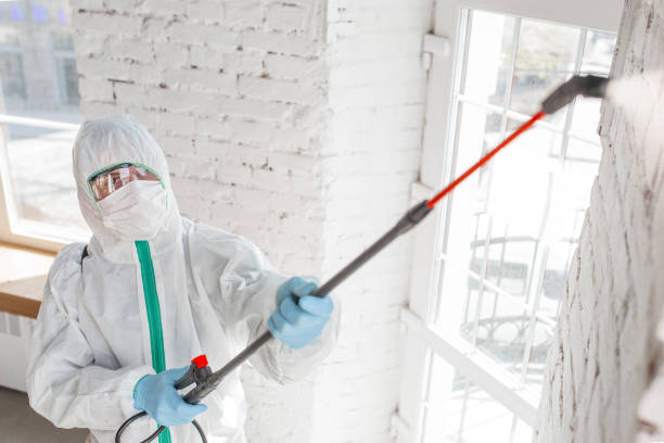 Best Residential Mold Inspection & Testing  in Taos, NM