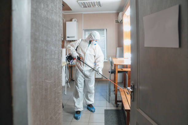 Best Crawl Space Mold Remediation  in Taos, NM