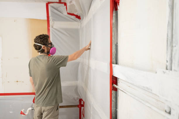 Best Dehumidification Services  in Taos, NM