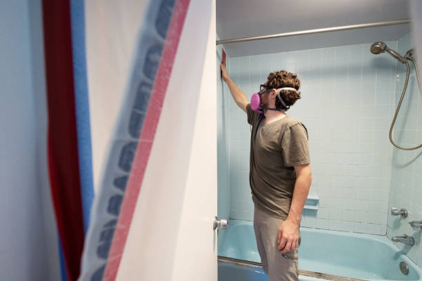 Best HVAC Mold Inspection and Cleaning  in Taos, NM