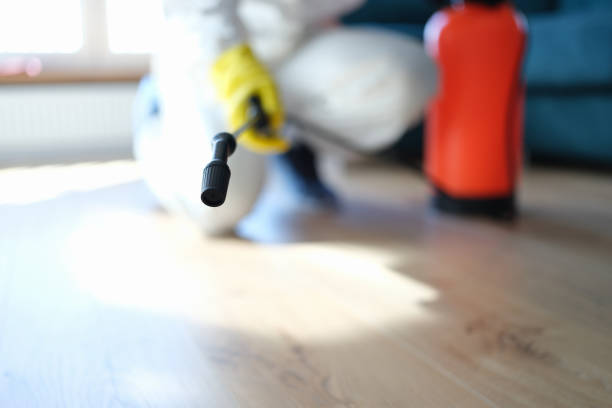 Best Mold Prevention Services  in Taos, NM