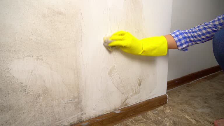 Mold Removal for HVAC Installations in Taos, NM
