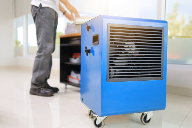 Best Forensic Mold Investigation  in Taos, NM