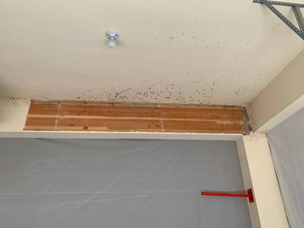 Best Post-Remediation Verification Testing  in Taos, NM