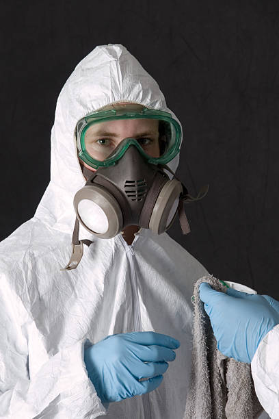 Best Asbestos and Lead Testing During Mold Inspection  in Taos, NM